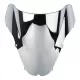 Windscreen For Honda CBR 929RR 2000-2001