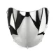 Windscreen For Honda CBR 954RR 2002-2003