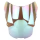 Windscreen For Honda CBR 1000XX 1996-2007