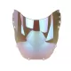 Windscreen For Honda CBR 900RR 1998-1999