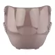 Windscreen For Honda CBR 600 F3 1995-1998