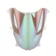 Windscreen For Honda CBR 600RR 2005-2006
