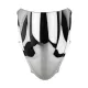 Windscreen For Suzuki TL1000R 1998-2002