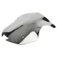 Windscreen For Kawasaki Z1000SX 2017-2019