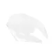 Windscreen For Kawasaki Z800 2013-2016