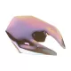Windscreen For Kawasaki Z800 2013-2016