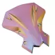Windscreen For Kawasaki Z900 2020-2024