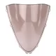 Windscreen For Kawasaki ZX-14R/ZZR 1400 2006-2025