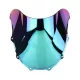 Windscreen For Kawasaki ZX-7R 1996-2003
