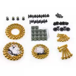 Aluminum Alloy Screw Set 195 Pcs (Universal Model) - Gold