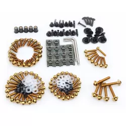 Stainless Steel Screw Set 195 Pcs (Universal Model) - Gold