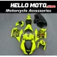 Ducati Panigale V4 2018-2019 Racing Fairing P/N 6H-Race1