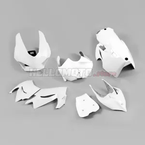 Ducati Panigale V4 2018-2019 Racing Fairing P/N 6H-Race Ducati Panigale V4 2018-2019 Racing Fairing P/N 6H-Race