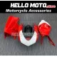 Ducati Superbike 848/1098/1198 2007-2012 Racing Fairing P/N 6D-Race1