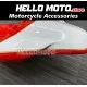 Ducati Superbike 848/1098/1198 2007-2012 Racing Fairing P/N 6D-Race1