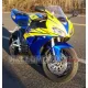 Honda CBR 1000RR 2006-2007 Fairing P/N 1G23