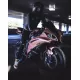 Yamaha YZF-R6 2008-2016 Fairing P/N 3M18