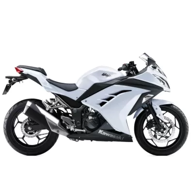 Ninja 300