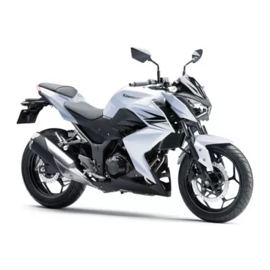Z300