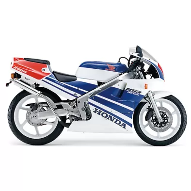 1988-1989