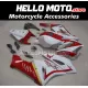 Honda CBR 1000RR 2004-2005 Fairing P/N 1F53 Honda CBR 1000RR 2004-2005 Fairing P/N 1F53