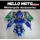 Honda CBR 1000RR 2006-2007 Fairing P/N 1G67