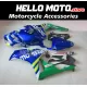 Honda CBR 1000RR 2006-2007 Fairing P/N 1G67