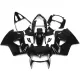 Honda VFR 800 RC46 1998-2001 Fairing P/N 1BA5